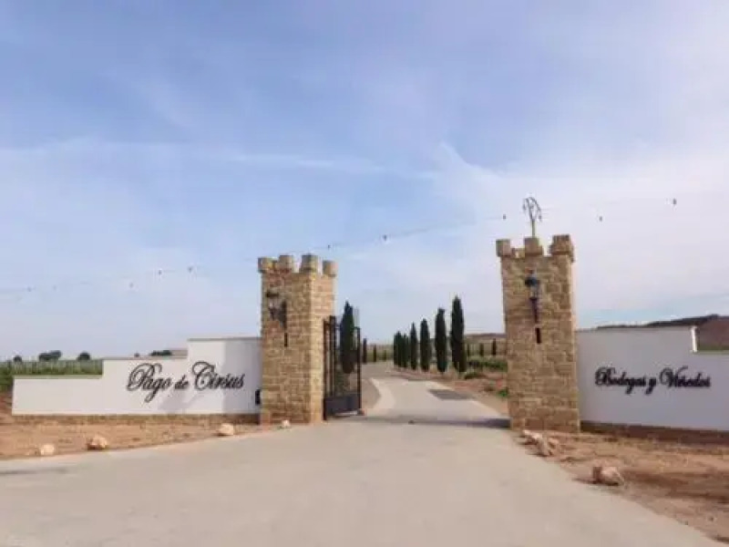 Chateau Pago De Cirsus