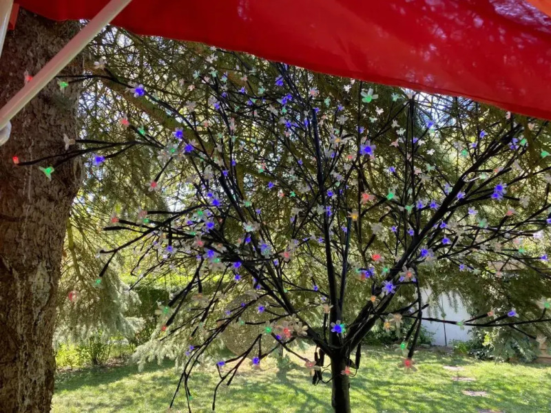 Schlafen in Erfurt- Nicht 0815