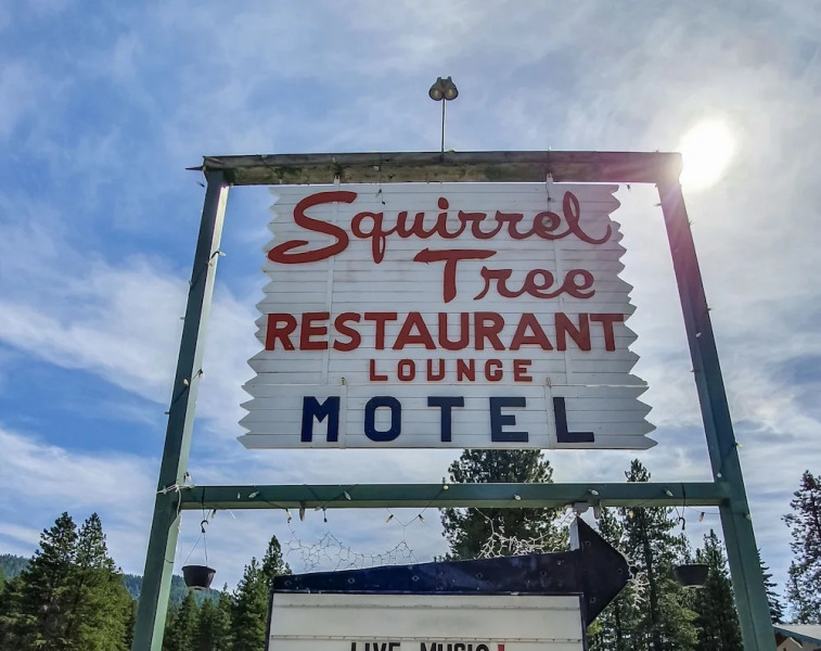 Squirrel Tree Resort