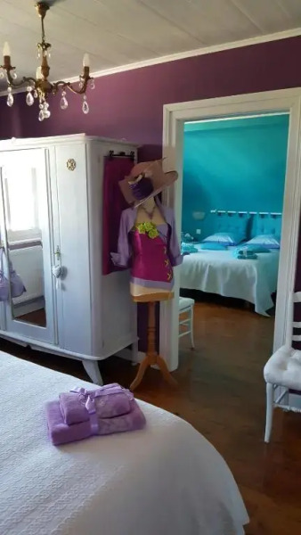 Au berceau du loup agile