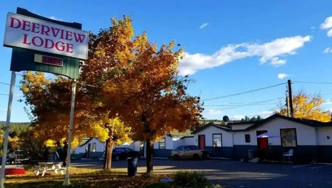 Deerview Lodge & Cabins