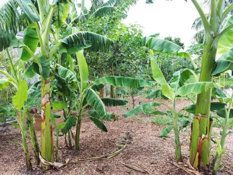 Secluded and Modern Beachfront House