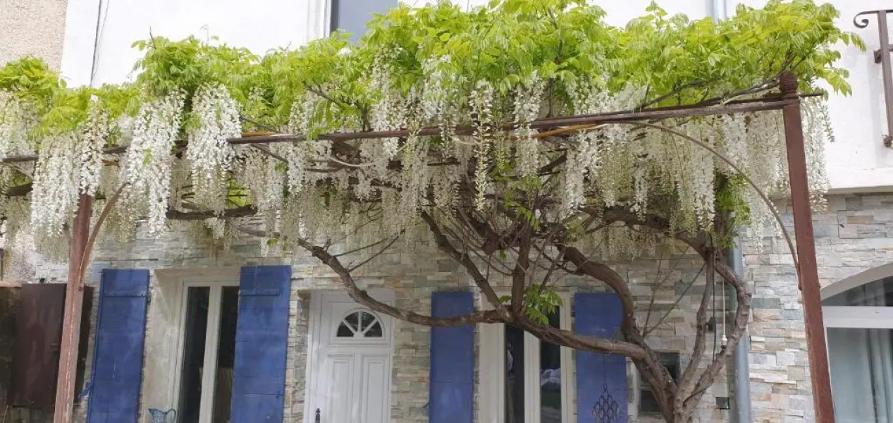 Le Mas Cothy en Provence