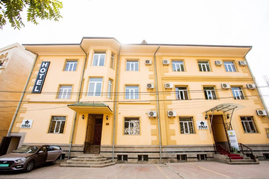 Stella (Стелла)