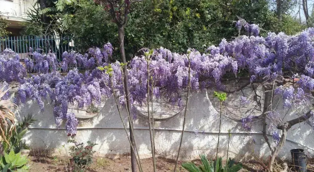 Holiday House Torre Di Manfria