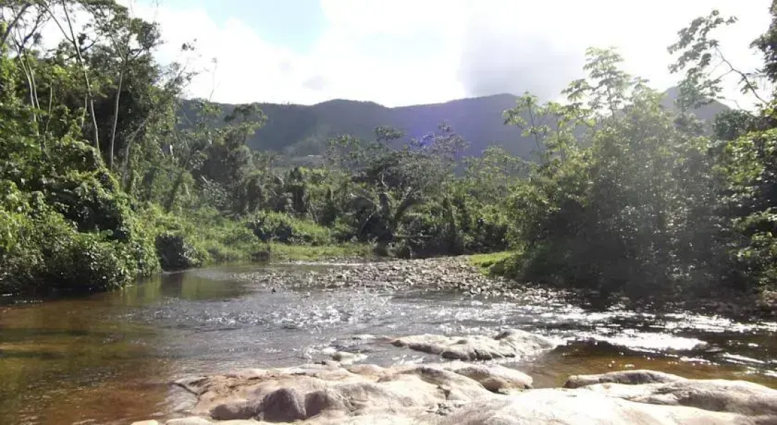 Hummingbird Guest Lodge & Hostel