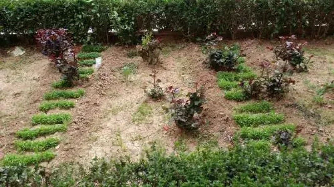 hotel mandar saghrou tazakhte