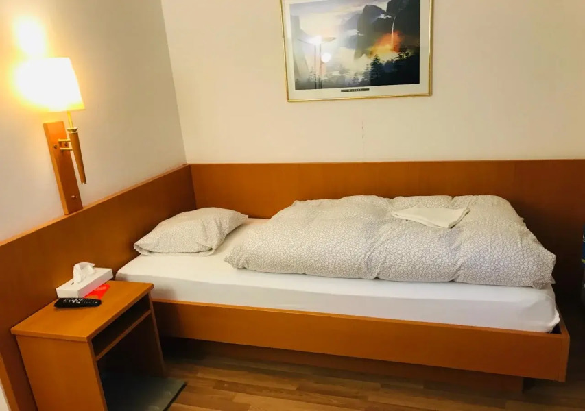 Park Hotel Bellevue Lenk