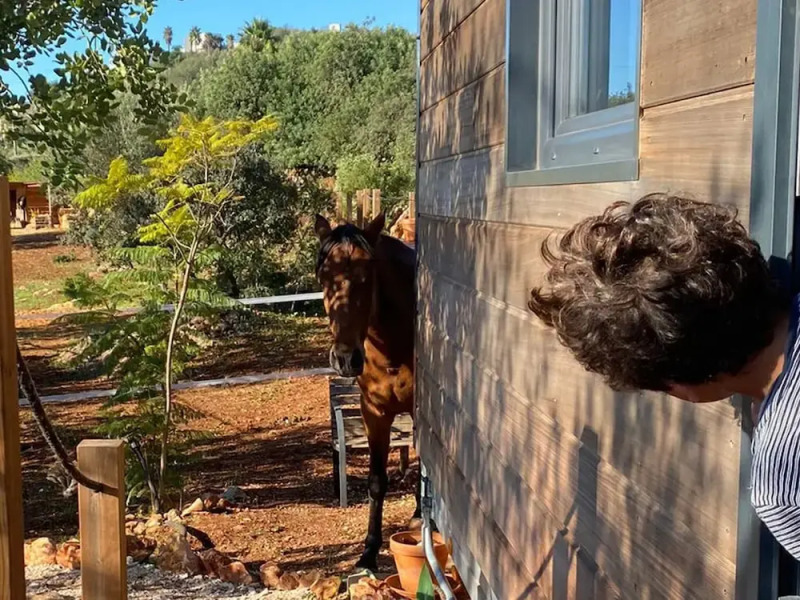 Tiny House & Horses Hébergement Atypique à Loulé