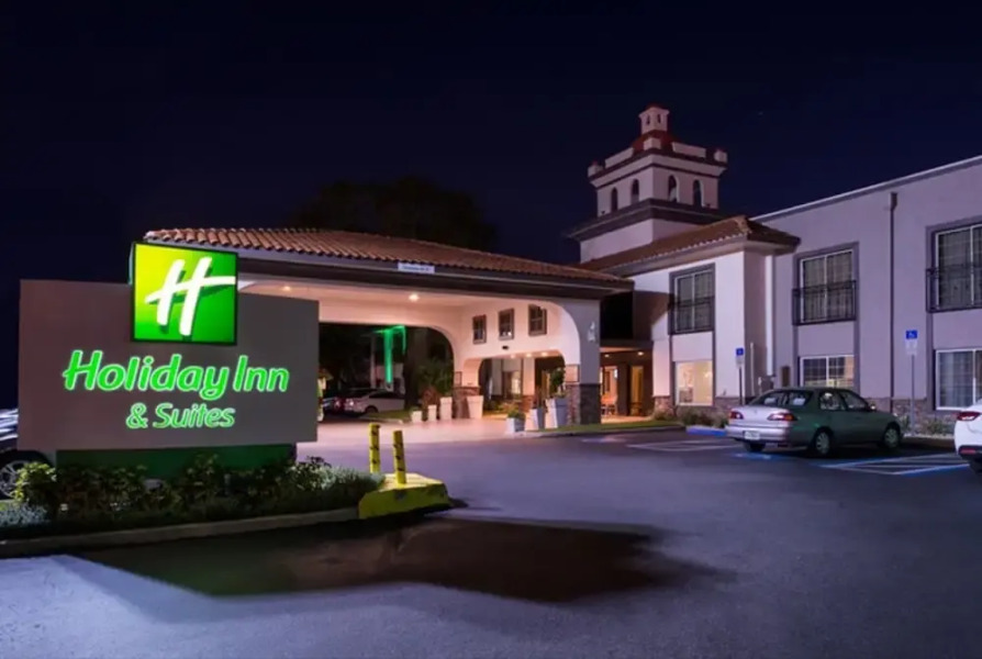 Holiday Inn Tampa Near Busch Gardens Usf