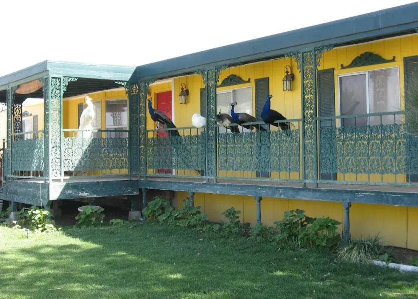 Shady Lady Bed & Breakfast