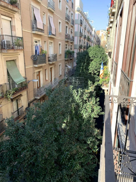 Central and Basic Universitat