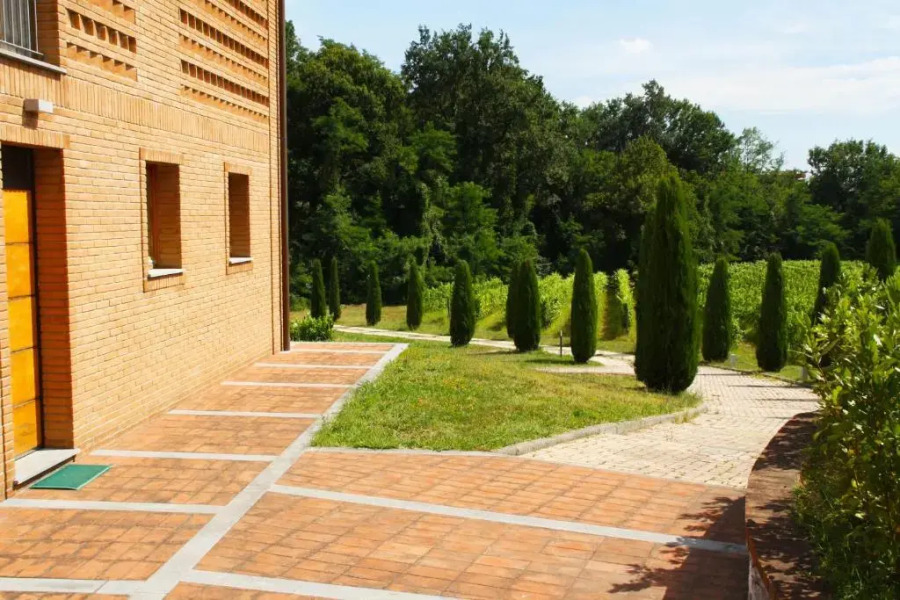 Il Sogno Tra I Vigneti