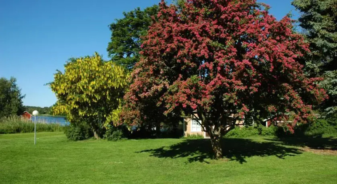 Gästgård Christiansund