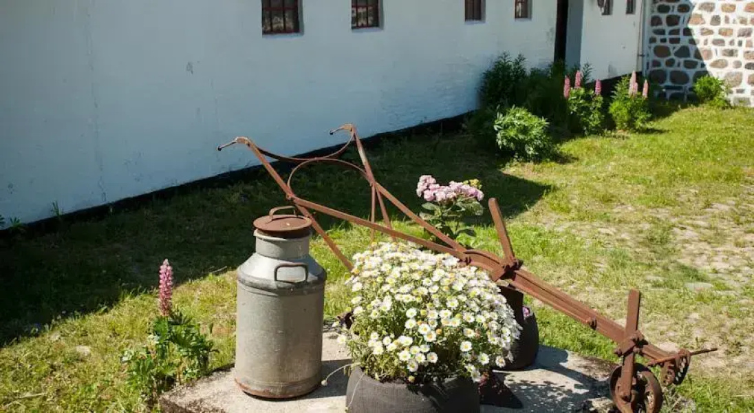Trangemosegaard