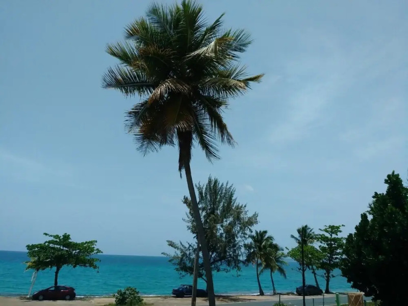 Guest House La Cruz De Colon