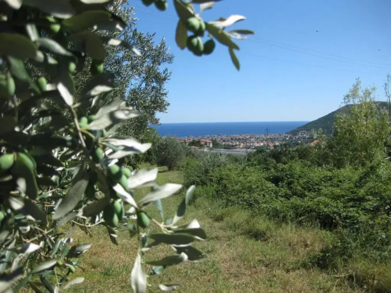 Agriturismo PeterPan