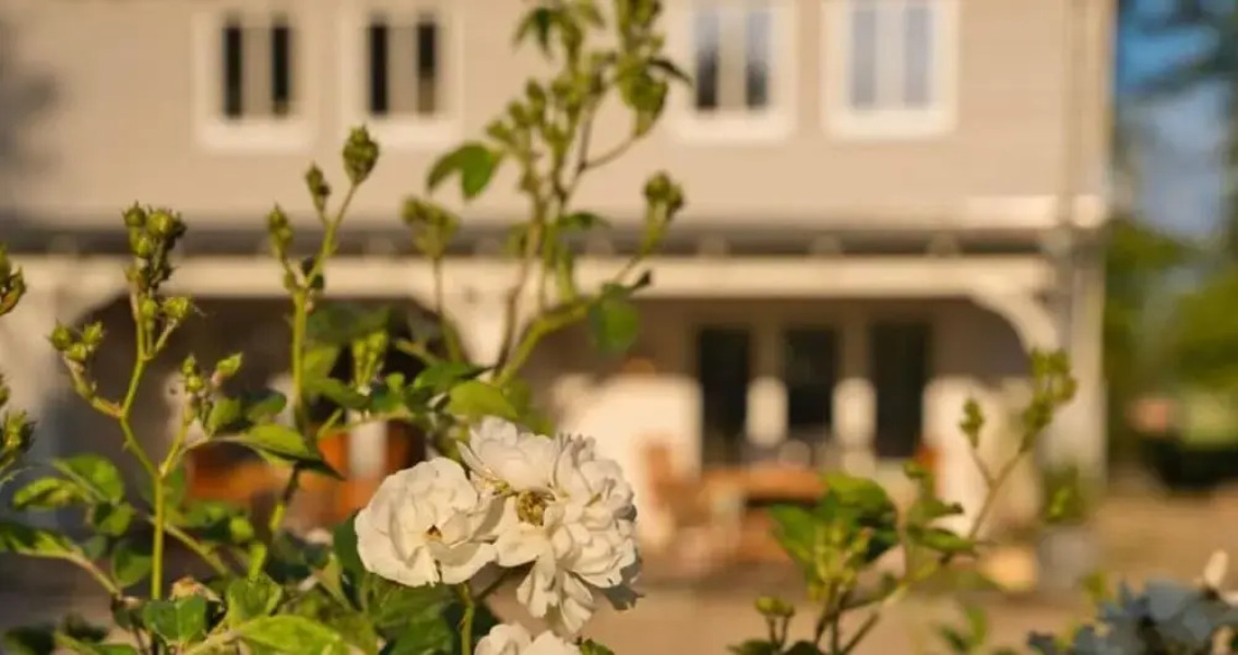 Fordebrise Modern Retreat