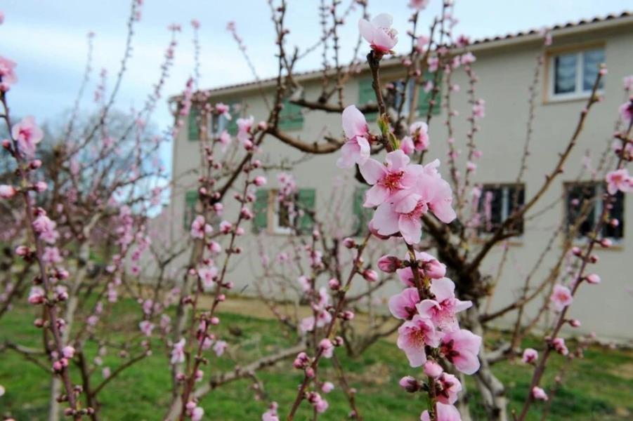 House With 3 Bedrooms in Thuir, With Wonderful Mountain View, Furnishe