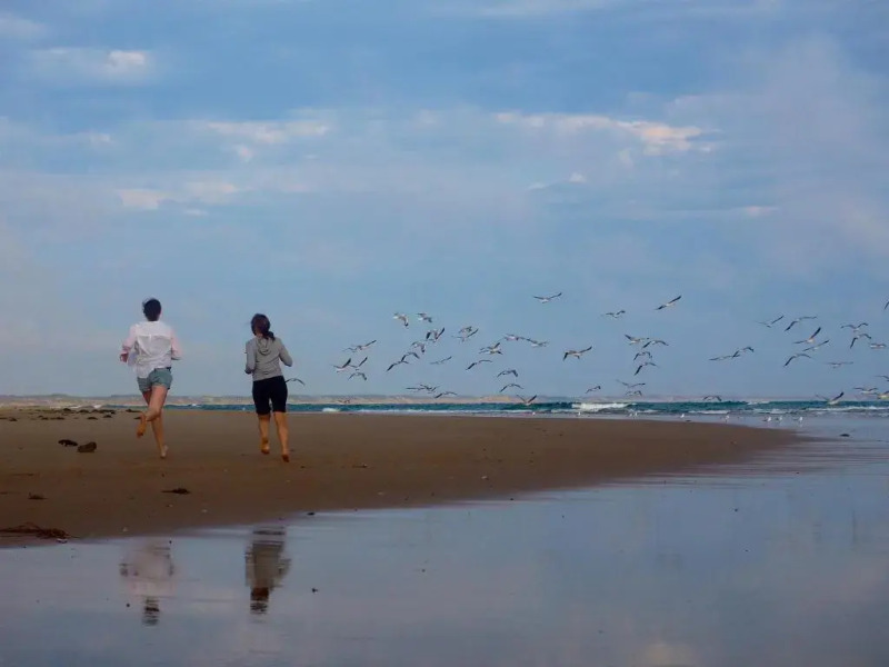 Alice's Palace, 2-minute walk to lifeguard patrolled surf beach