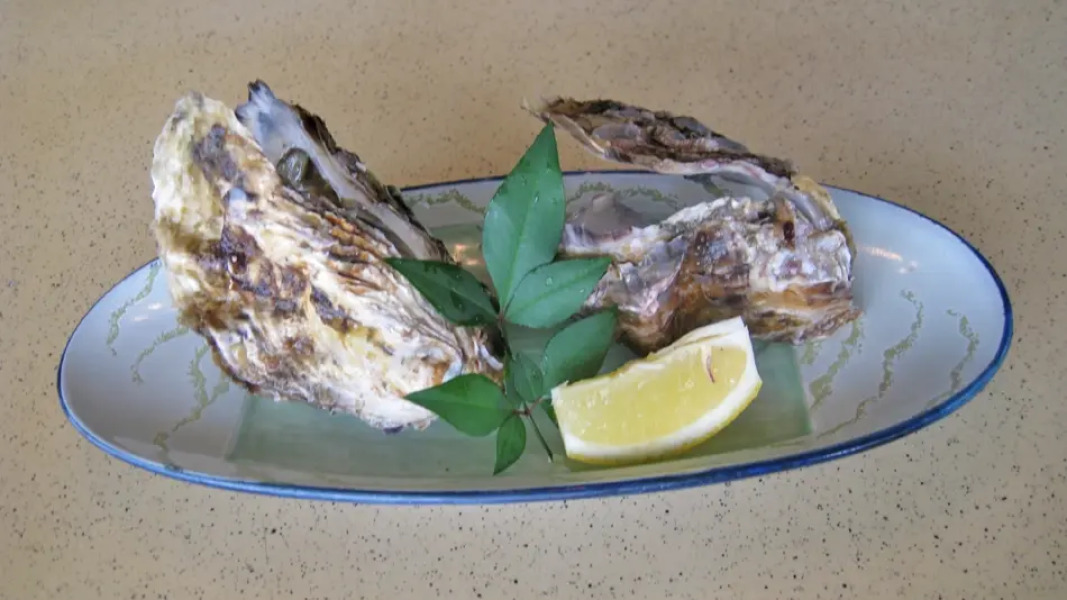 Seaside Katsuragahamaso