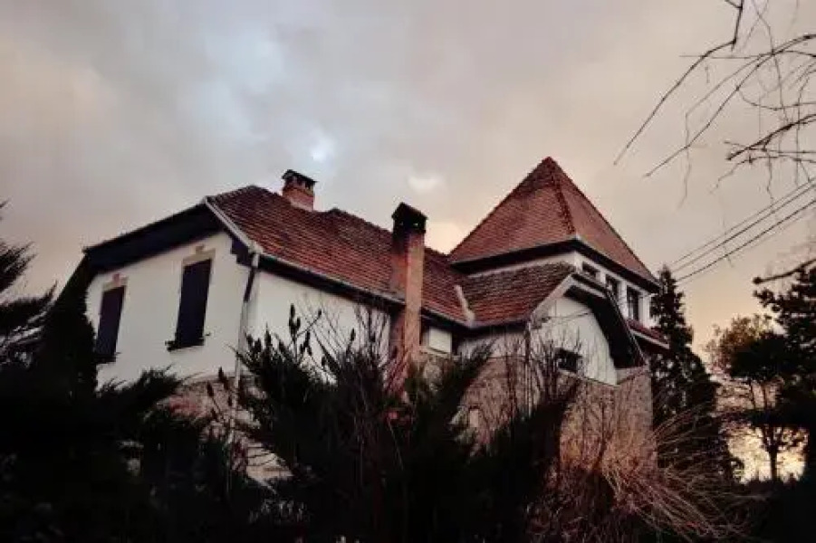 Villa Castelul Maria