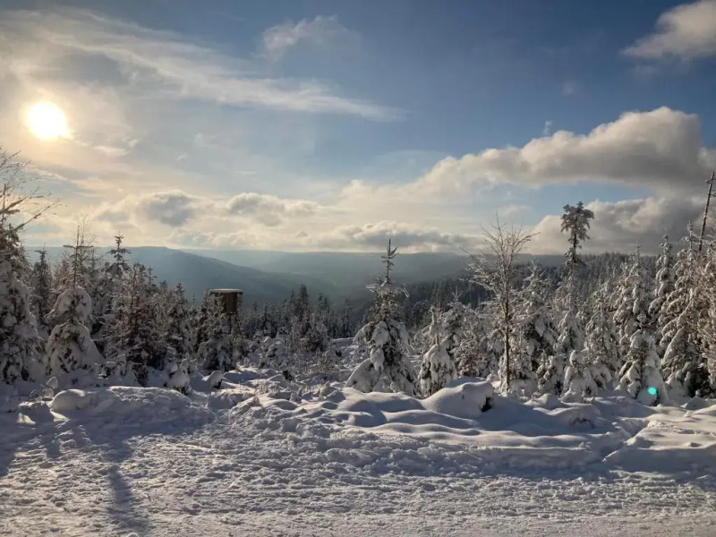 Schwarzwaldhotel Oberwiesenhof