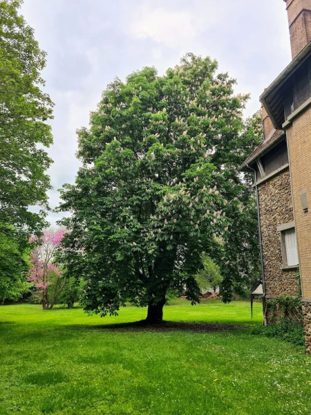 Demeure du saule Madame