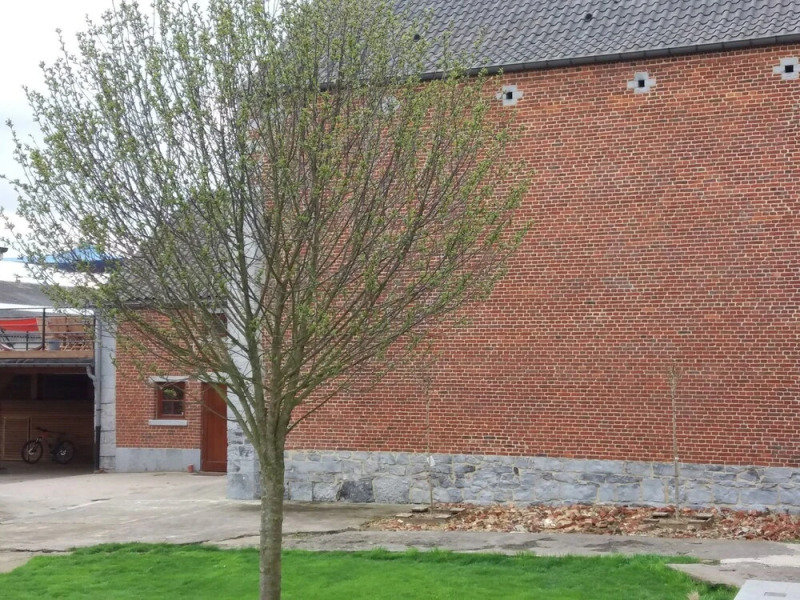 Maison d'Hôtes & Relais Equestre