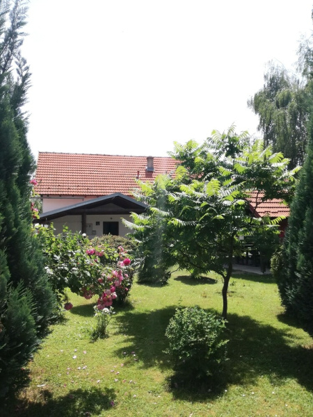 Plavo oko