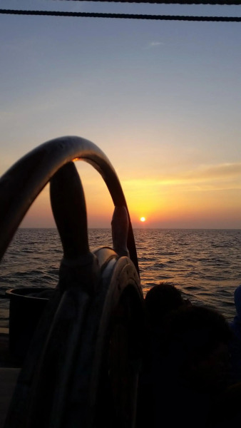 tjalkjacht pelikaan enkhuizen