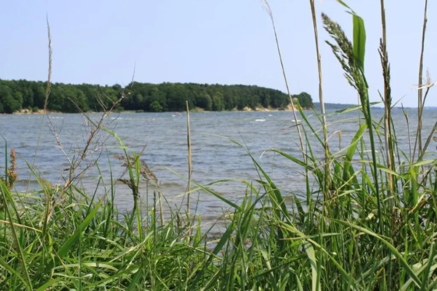 Reetdachhaus Weißdorn 1