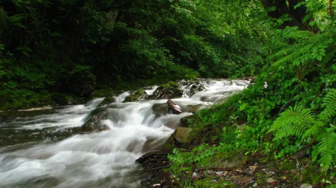 Albergue Olasenea Aterpea