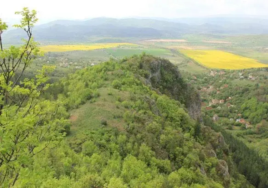 Zelenigrad Guest House