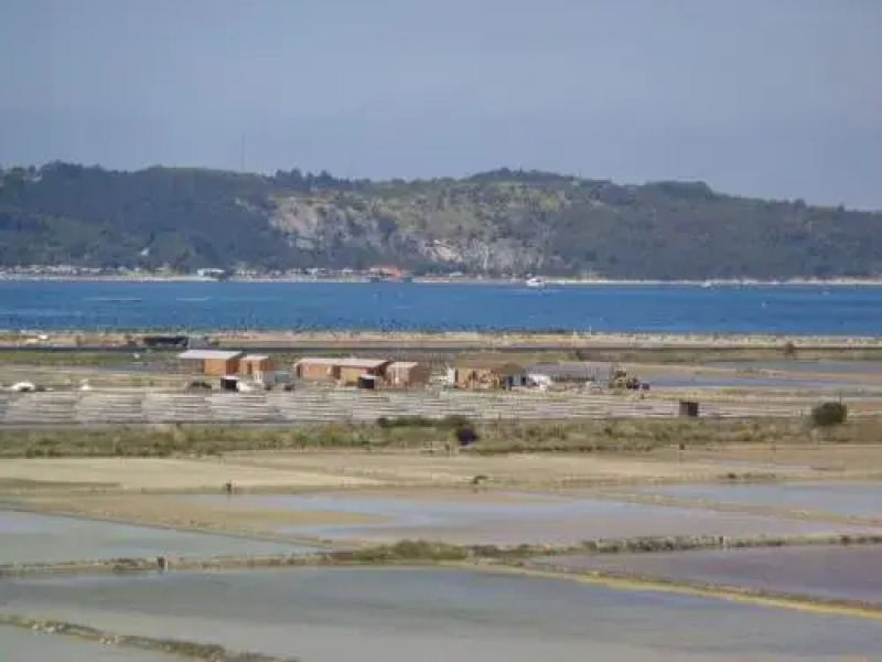 Villa Saline Apartments Portorož