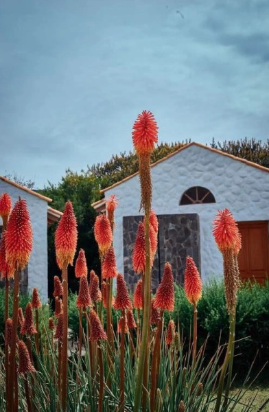 Casona Plaza Hotel Ecolodge Colca