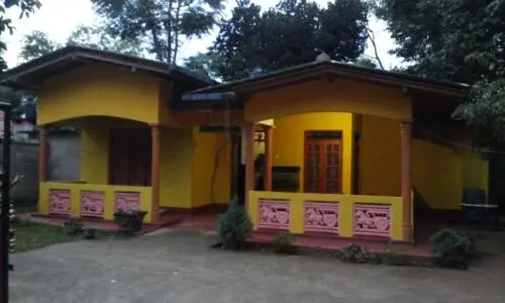 Elephant Reach Udawalawa