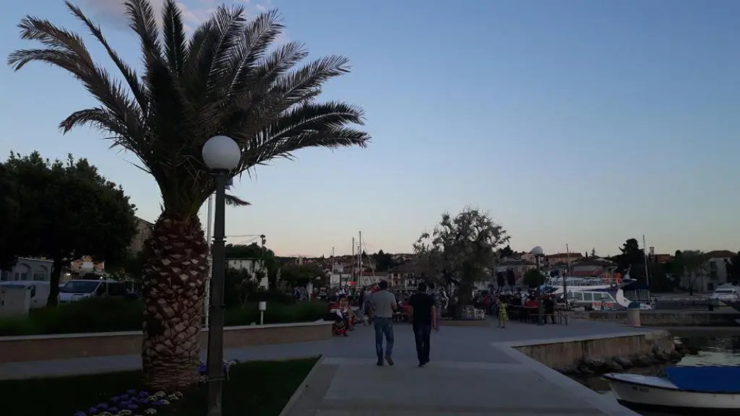 Apartment Krizanovic