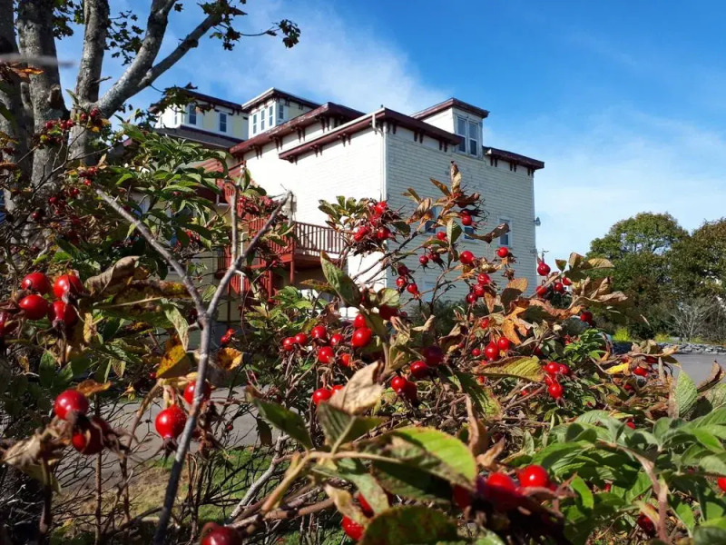 B&B Homeport Historic c1858