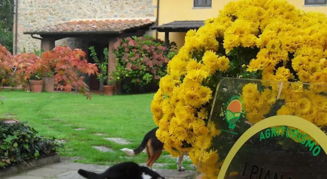 Agriturismo I Pianacci