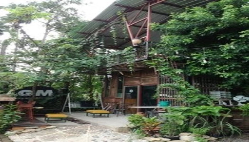 Gm Club Art of Living