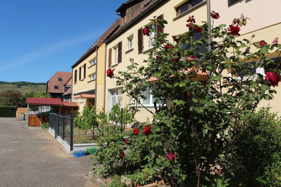 Appartement Cosy sur la Route des Vins