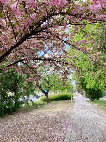 AquaLITA Apartman Zalakaros