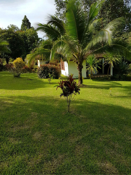 Phanom Bencha Mountain Resort