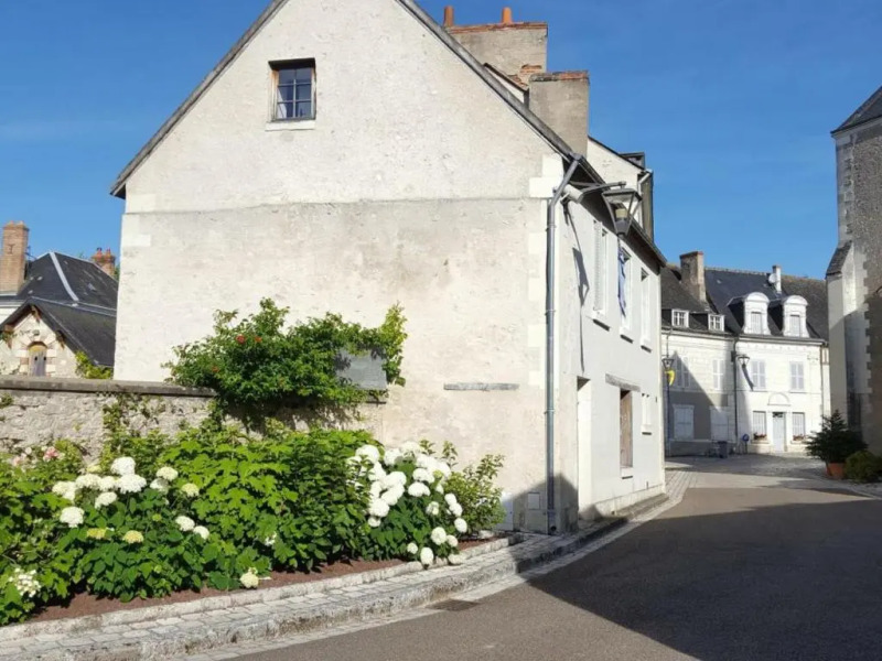 Gîte Pontlevoy, 4 pièces, 4 personnes - FR-1-491-306