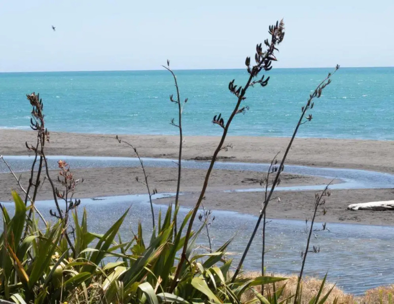 The Boat House On Dixon