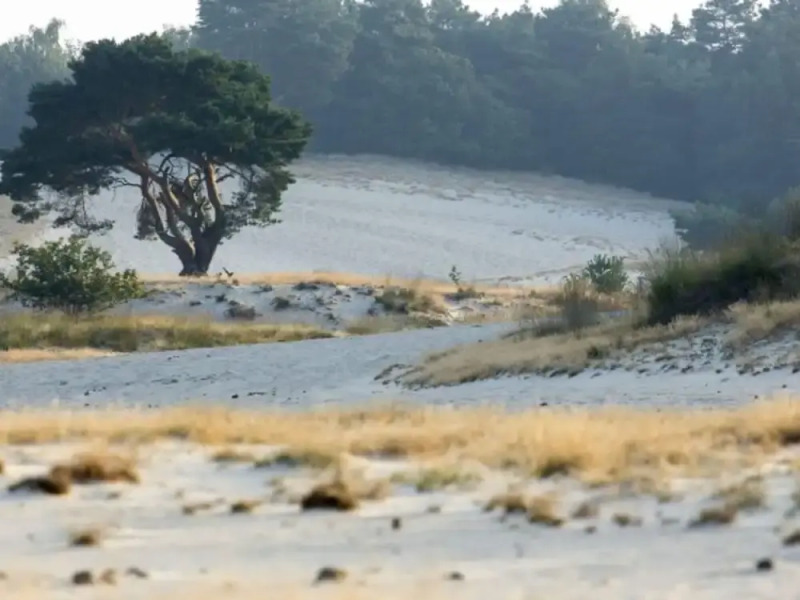 Holiday Home Near the Efteling With Garden