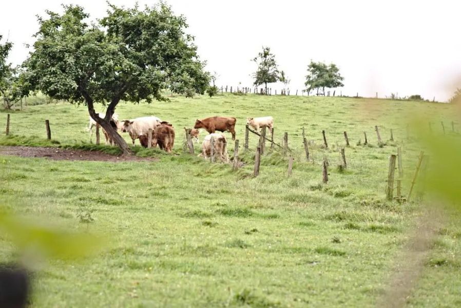 Hotel-Restaurant Im Heisterholz