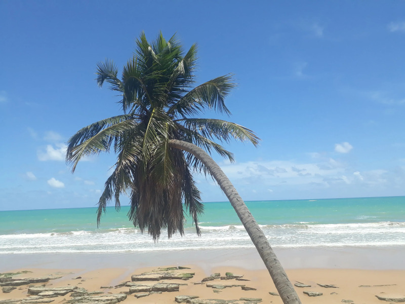 Pousada Boneca de Pano