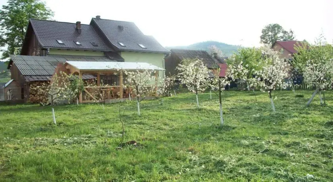Bucovina Hills Guesthouse
